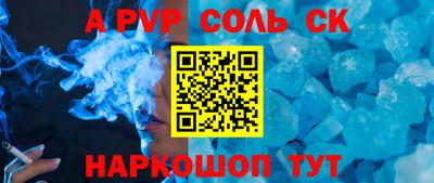 гашик Кингисепп