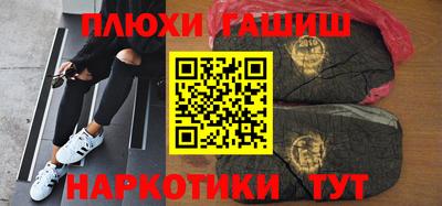 гашик Кингисепп