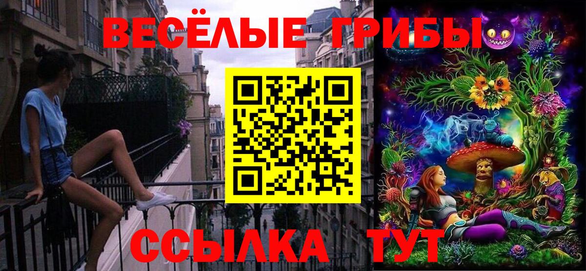 Галлюциногенные грибы прущие грибы Кыштым